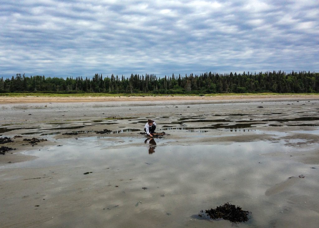 Aux caplans, sur la batture, à PortneufsurMer Vaste programme